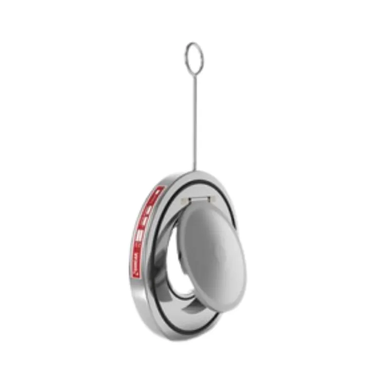 Əyilmə Klapanı Əks Klapanlar